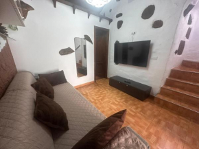 Palmera 16